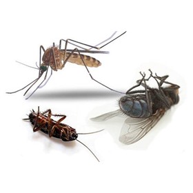 Средства защиты от домашних вредителей и насекомых