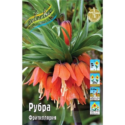 Рубра (Fritillaria imperialis Rubra)