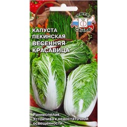 Капуста пекинская Весенняя Красавица