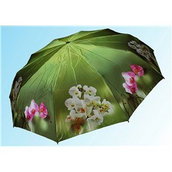 Зонт С013 зеленая орхидея