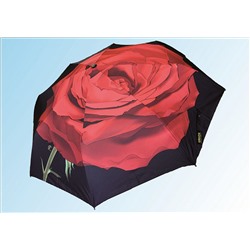 Зонт 8302 красная роза