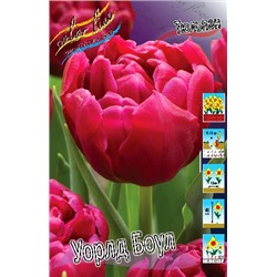 Уорлд Боул (Tulipa World Bowl)
