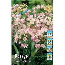 Розеум (Allium roseum)