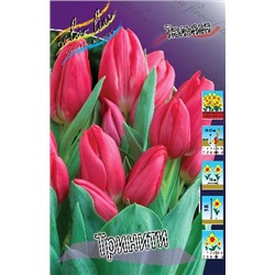 Тринити (Tulipa Trinity)