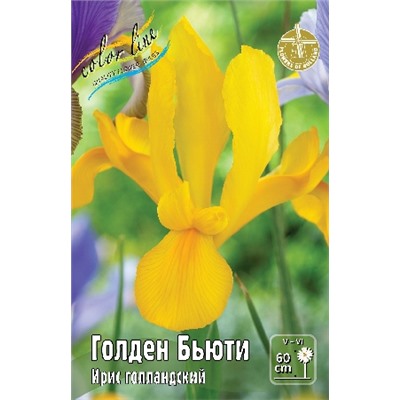 Голден Бьюти (Iris hollandica Golden Beauty)