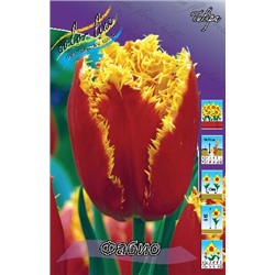 Фабио (Tulipa Fabio)