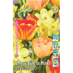 Бюти Микс (тюльпан+нарцисс) (Combi Beauty Mix (tulip + narcissus))