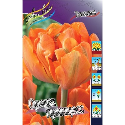Оранж Принцесс (Tulipa Orange Princess)
