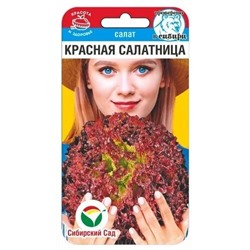 Салат Красная салатница