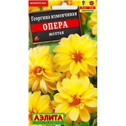 Георгина Опера Желтая