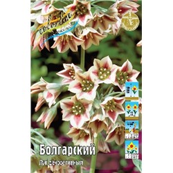 Болгарский (Allium bulgaricum (nectaroscordum))