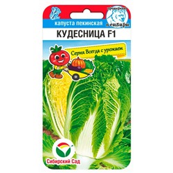 Капуста пекинская Кудесница F1