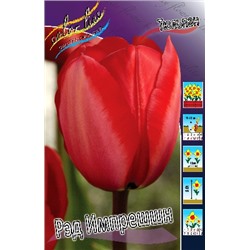 Рэд Импрешшн (Tulipa Red Impression)
