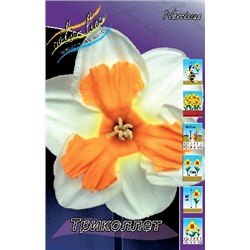 Триколлет (Narcissus Tricollet)