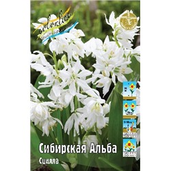 Сибирская Альба (Scilla siberica Alba)