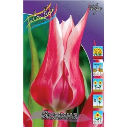 Йонина (Tulipa Yonina)