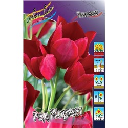 Ред Жоржет (Tulipa Red Georgette)