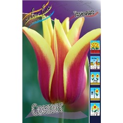 Соннет (Tulipa Sonnet)