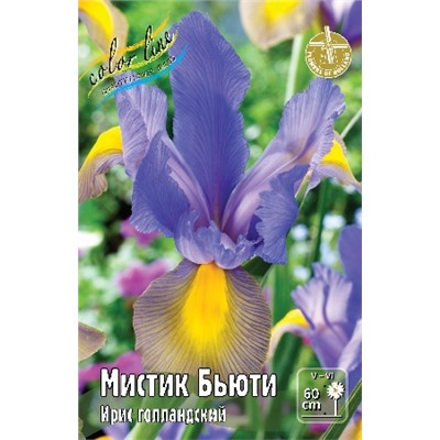 Мистик Бьюти (Iris hollandica Mystic Beauty)