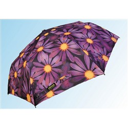 Зонт 8309 фиолетовая ромашка
