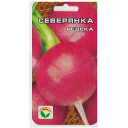 Редька Северянка