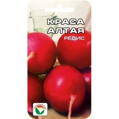 Редис Краса Алтая