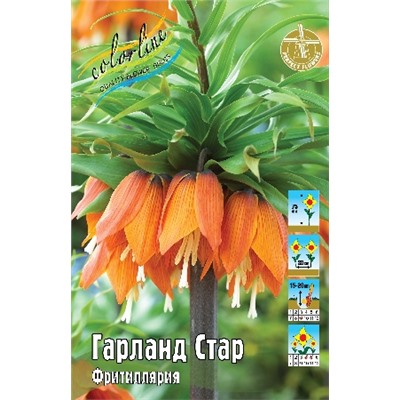 Гарланд Стар (Fritillaria imperialis Garland Star)