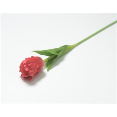 Ветка одиночная тюльпан кудрявый (1010237)