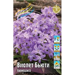 Виолет Бьюти (Chionodoxa luciliae Violet Beauty)