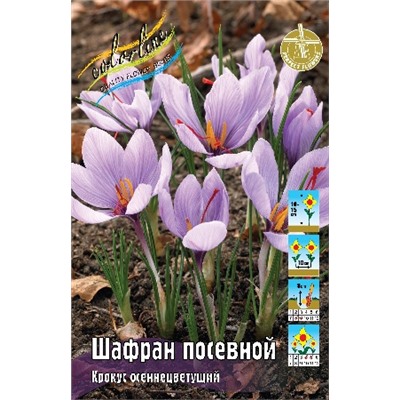 Шафран посевной (Crocus sativus (autumn))