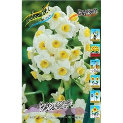 Аваланч (Narcissus Avalanche)