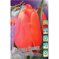 Джиант Оранж Санрайз (Tulipa Giant Orange Sunrise)