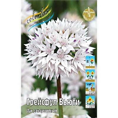 Грейсфул Бьюти (Allium Graceful Beauty)