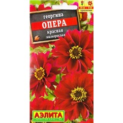 Георгина Опера Красная