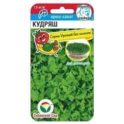 Кресс-салат Кудряш
