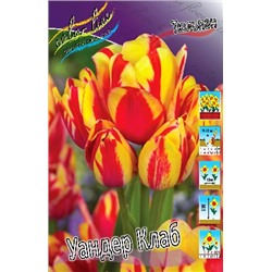Уандер Клаб (Tulipa Wonder Club)