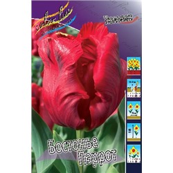 Бастонье Пэррот (Tulipa Bastogne Parrot)