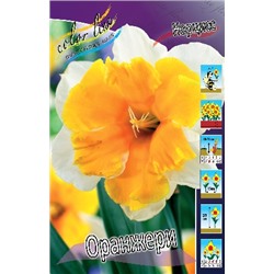 Оранджери (Narcissus Orangery)