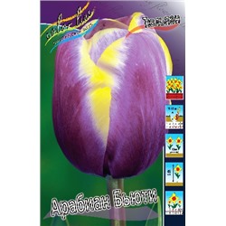Арабиан Бьюти (Tulipa Arabian Beauty)