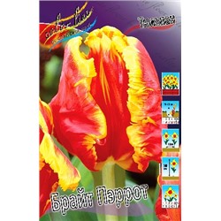 Брайт Пэррот (Tulipa Bright Parrot)