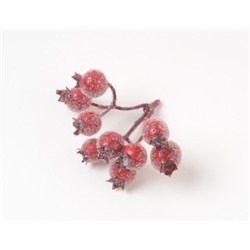 Ветка с ягодами шиповника зонтиком в сахаре (1010237) красный