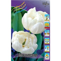 Мондиал (Tulipa Mondial)