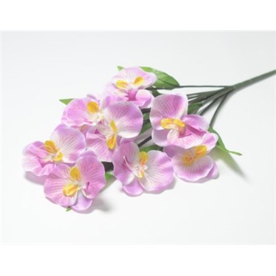 Ветка в букете орхидея (1010237)