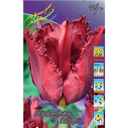 Пасифик Перл (Tulipa Pacific Pearl)