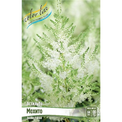 МОХИТО (MOJITO)