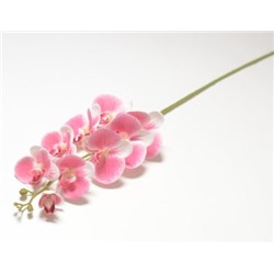 Ветка орхидеи 9 голов (1010237) розовый