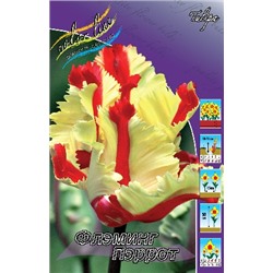 Флэминг Пэррот (Tulipa Flaming Parrot)