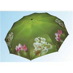 Зонт 015 зеленая орхидея