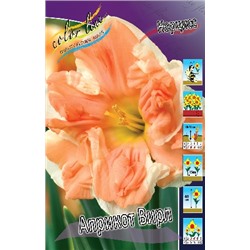 Априкот Вирл (Narcissus Apricot Whirl)