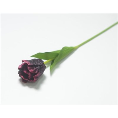 Ветка одиночная тюльпан кудрявый (1010237)